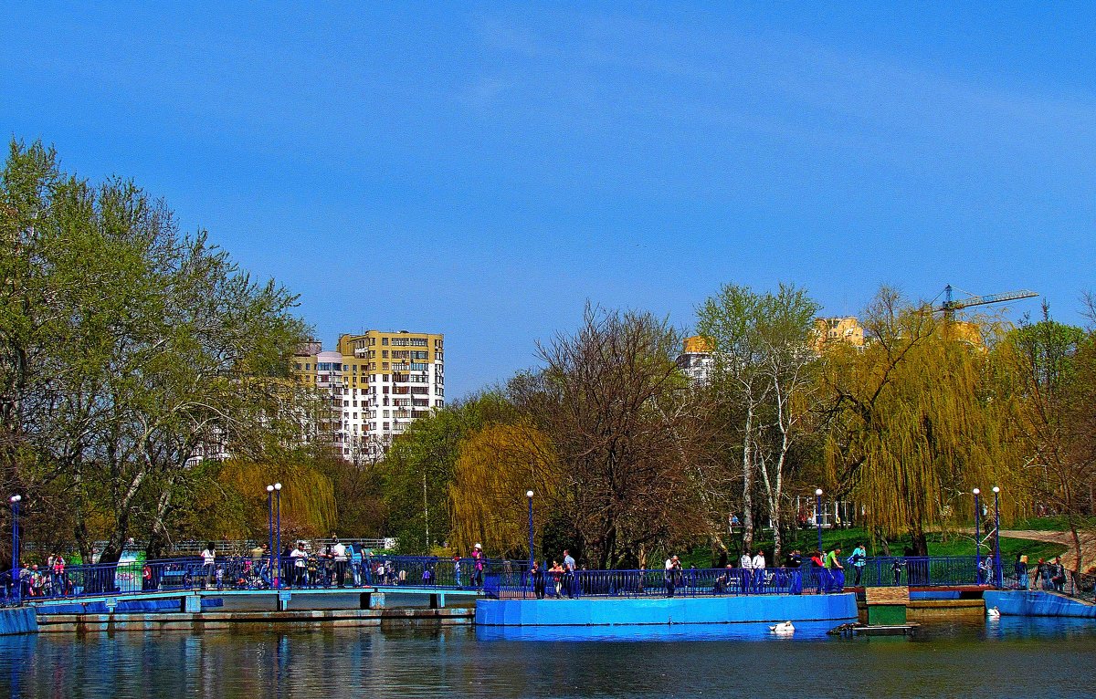 в парке - Александр Корчемный