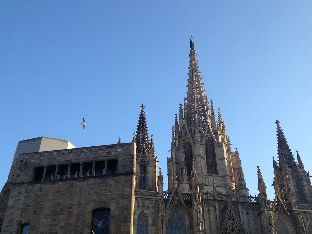 Cathedral Barselona - Irina @