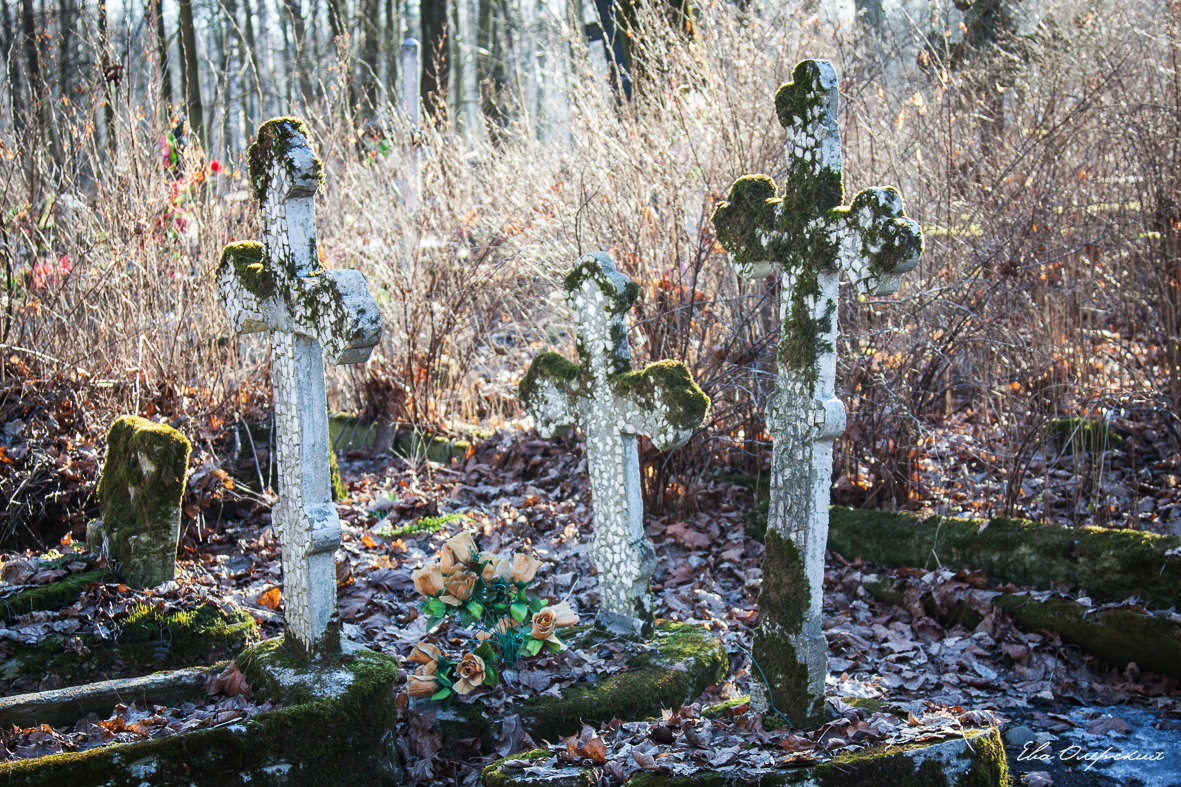 На Смоленском кладбище - Ева Олерских