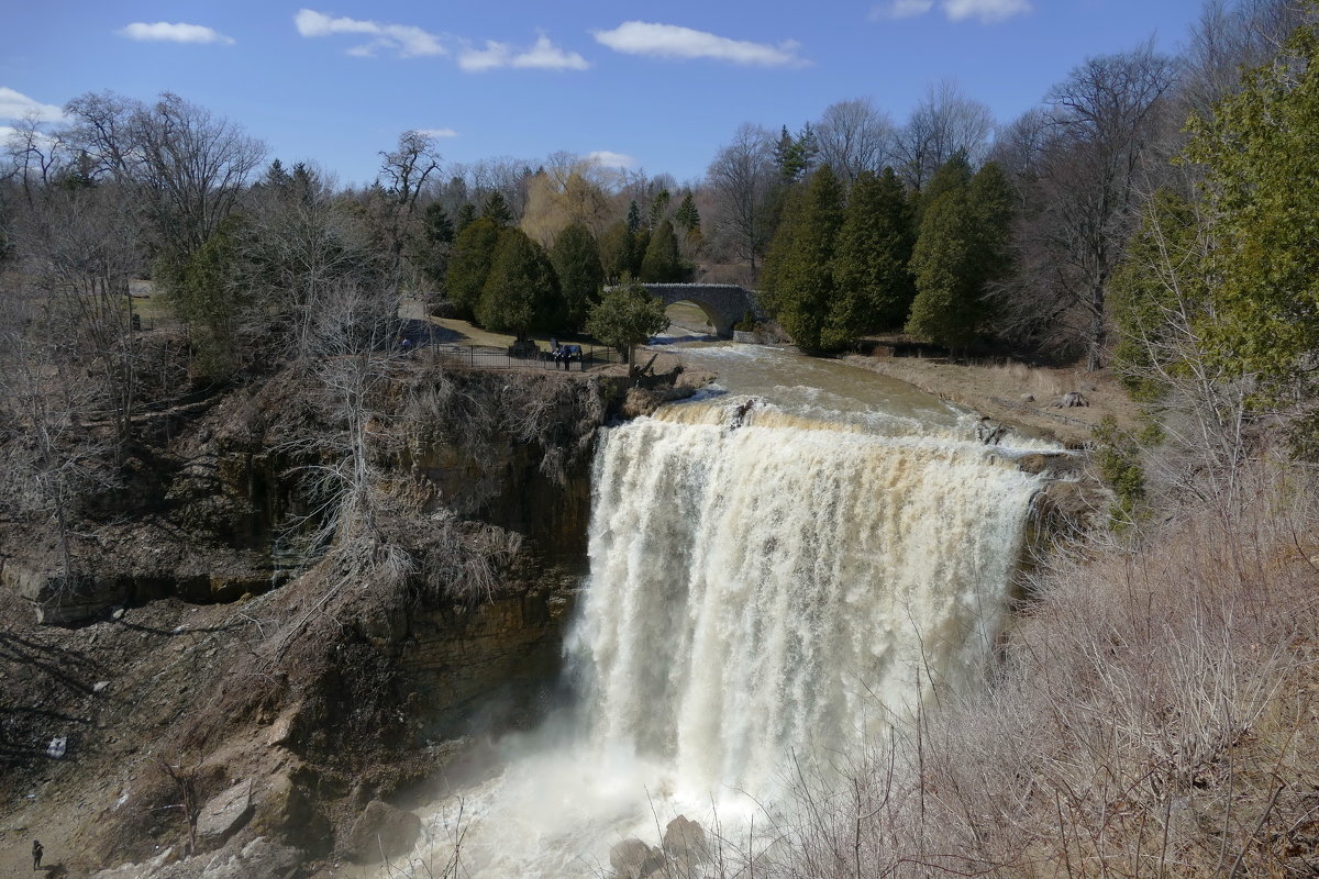 Webster Falls (один из 33 водопадов г. Гамильтон) - Юрий Поляков