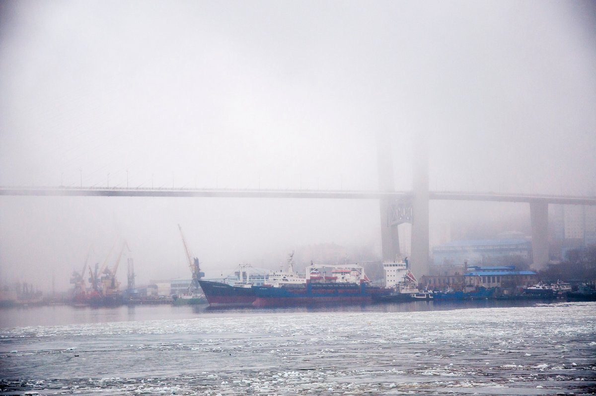 Мост в тумане. Владивосток. - Михаил Сахнов