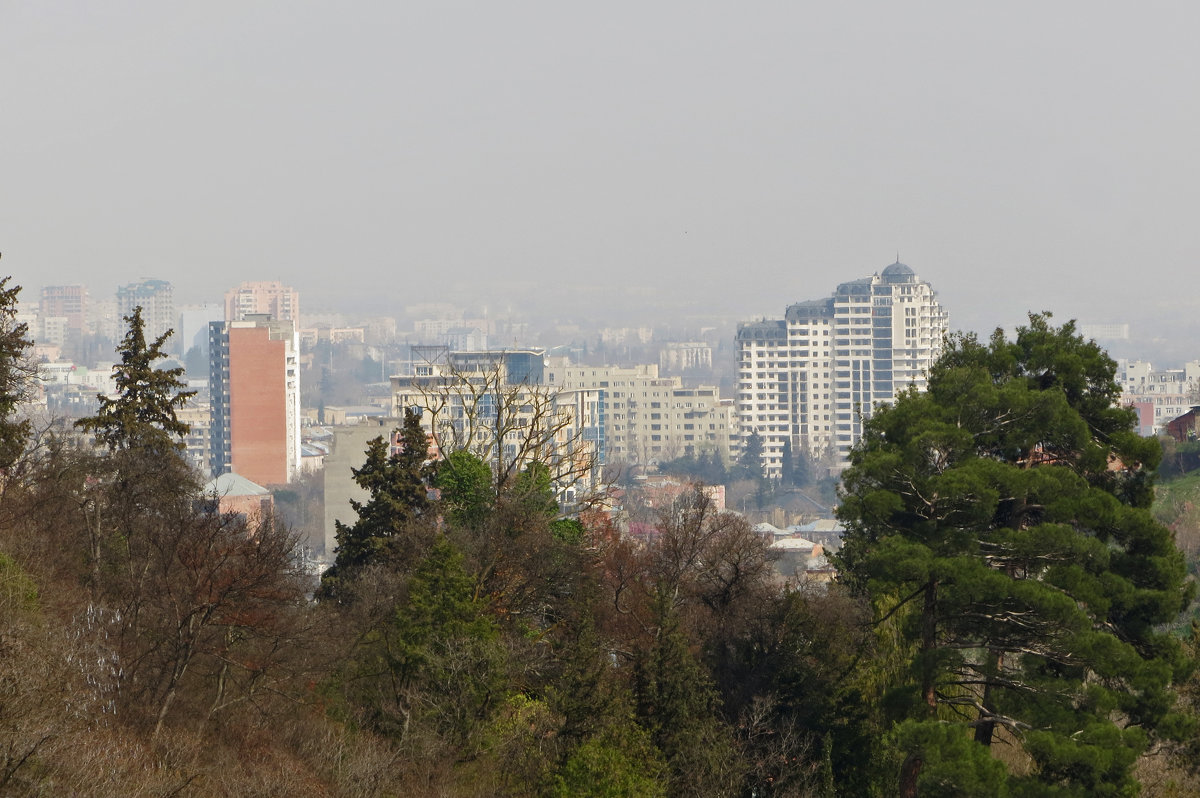 Тбилиси в тумане - Наталья (D.Nat@lia)