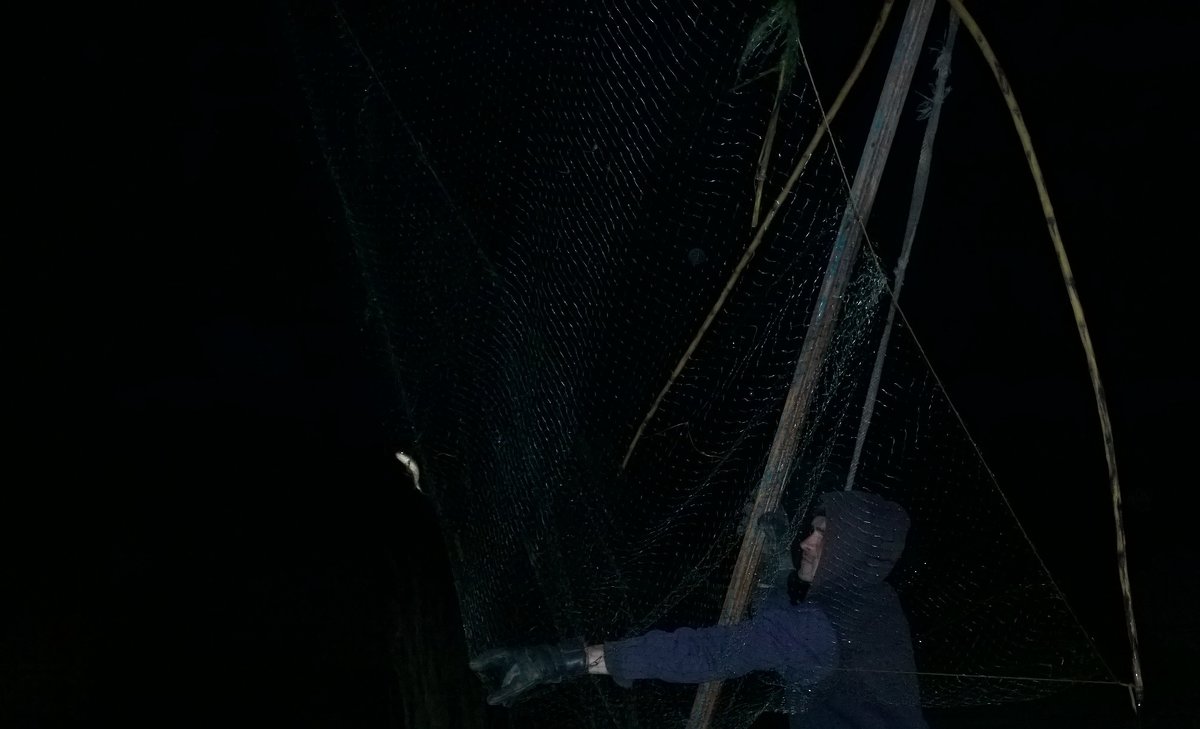 Ночная рыбалка - Виталий Бережной