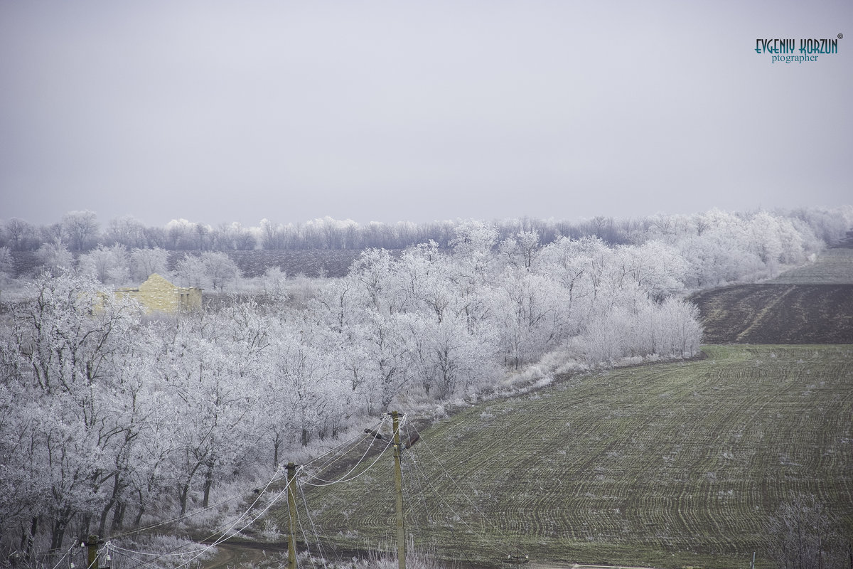 ** - Евгений Корзун