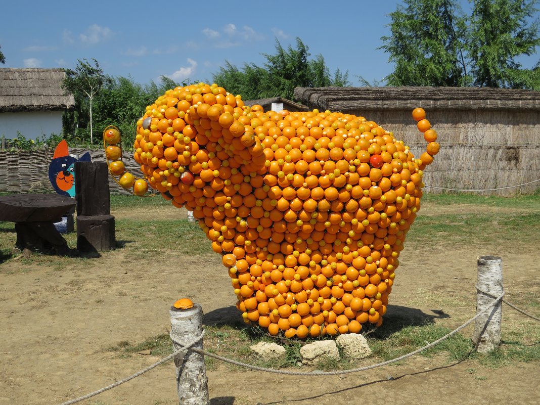 Апельсиновый слоник - Вера Щукина