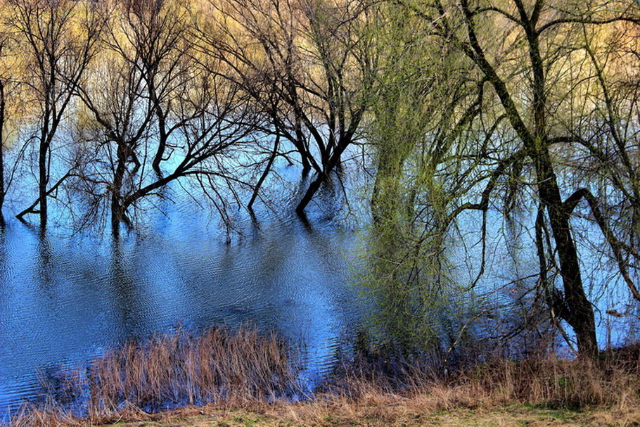 Река стареющим апрелем... - Лесо-Вед (Баранов)