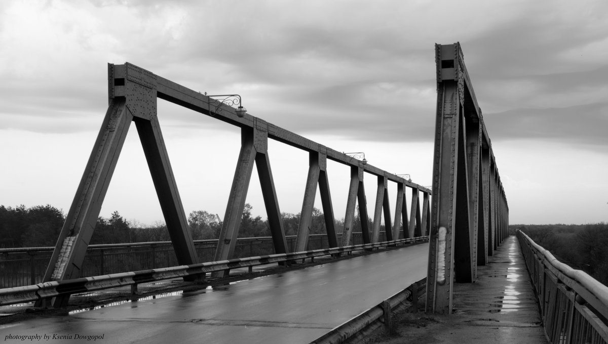 мост - Ксения Довгопол