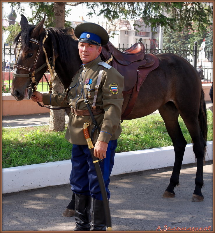 Казаку конь — отец родной и товарищ дорогой - Андрей Заломленков