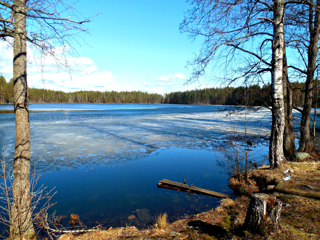 Лесное озеро - Геннадий Рублёв