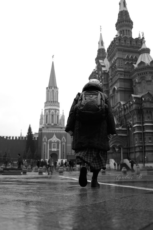 туристка - Владимир Гулевич