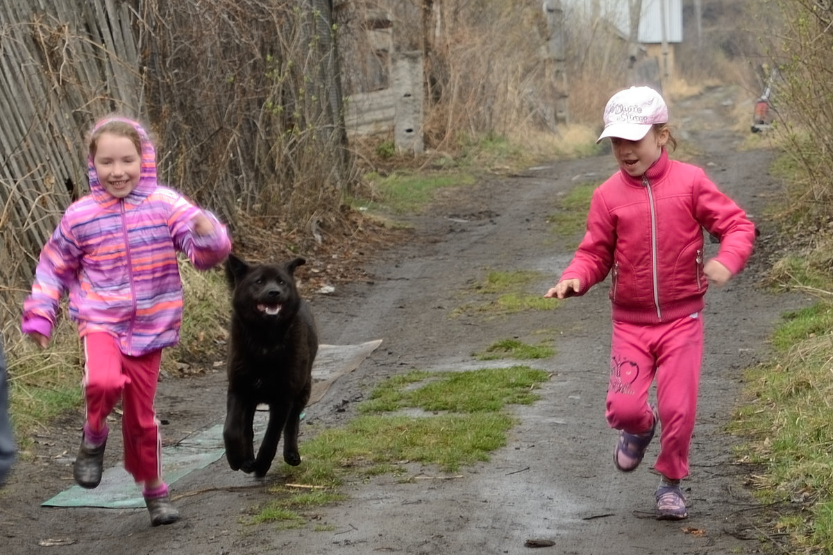 Собачка Лесси и девочки играют наперегонки - Анатолий ...