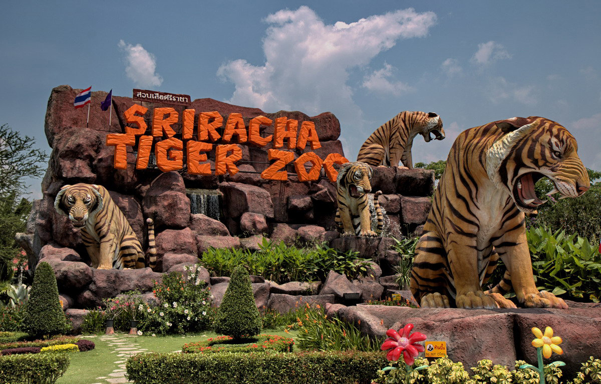 Тигровый зоопарк Сирача - Евгений Печенин
