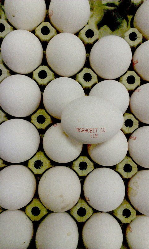 egg - павел 