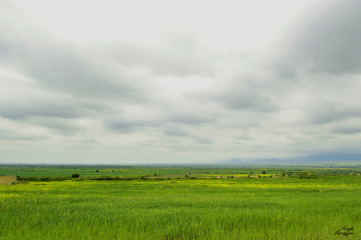 *** - Айк Авагян(haykavagian)