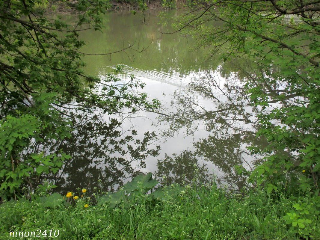 Река Темерник в парке Октября - Нина Бутко