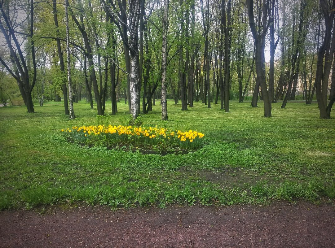 ** - Юрий Тихонов