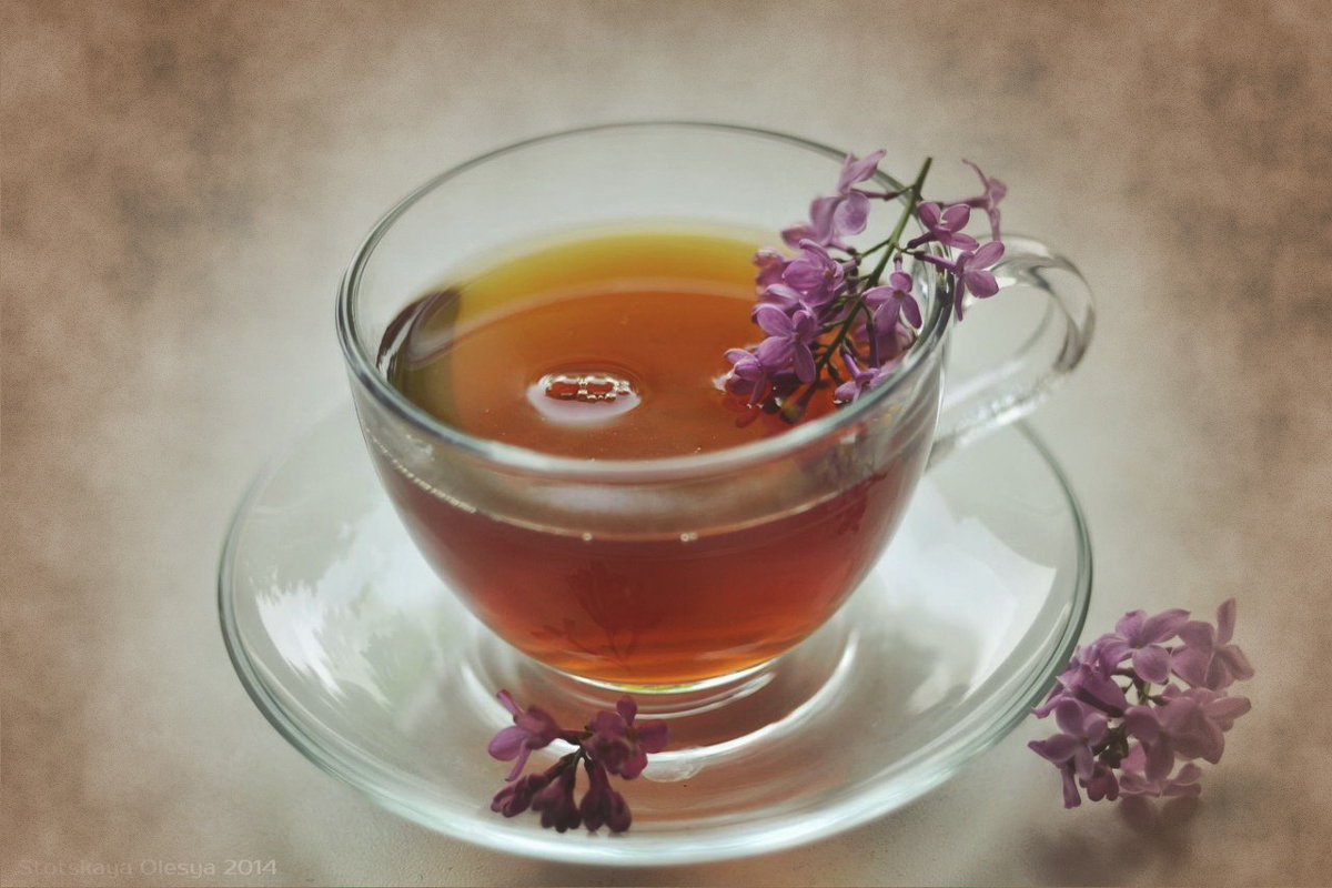 Чай с ароматом сирени - Олеся Стоцкая