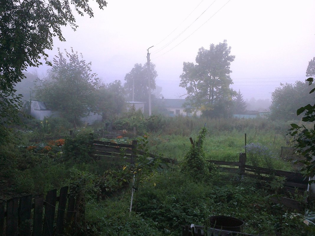 Туман в огородах - Милла Корн 