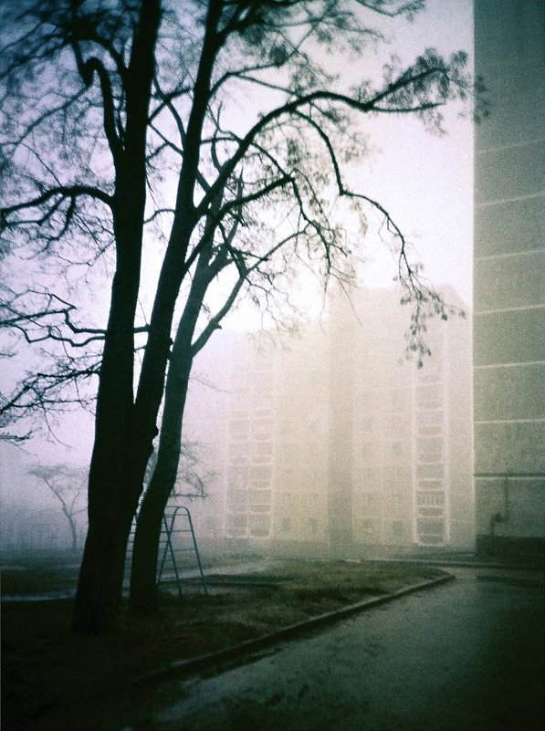 Туманный двор - Сергей Тарабара