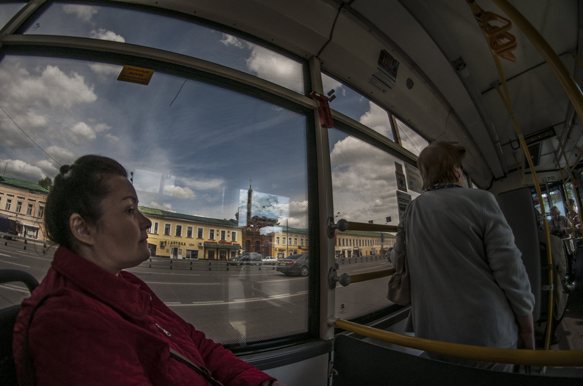 Еду в автобусе, смотрю в окно - Ирина Данилова