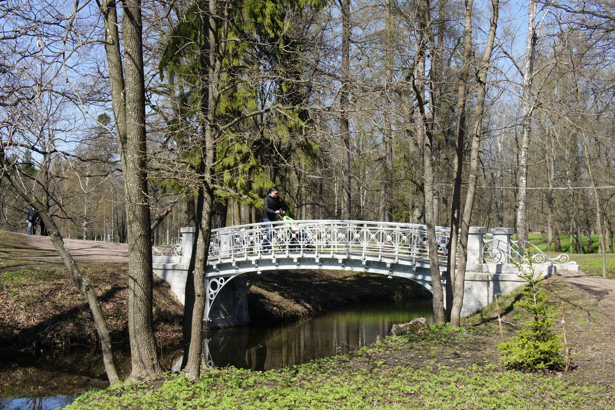 Ажурный мостик в Дворцовом парке - Елена Павлова (Смолова)