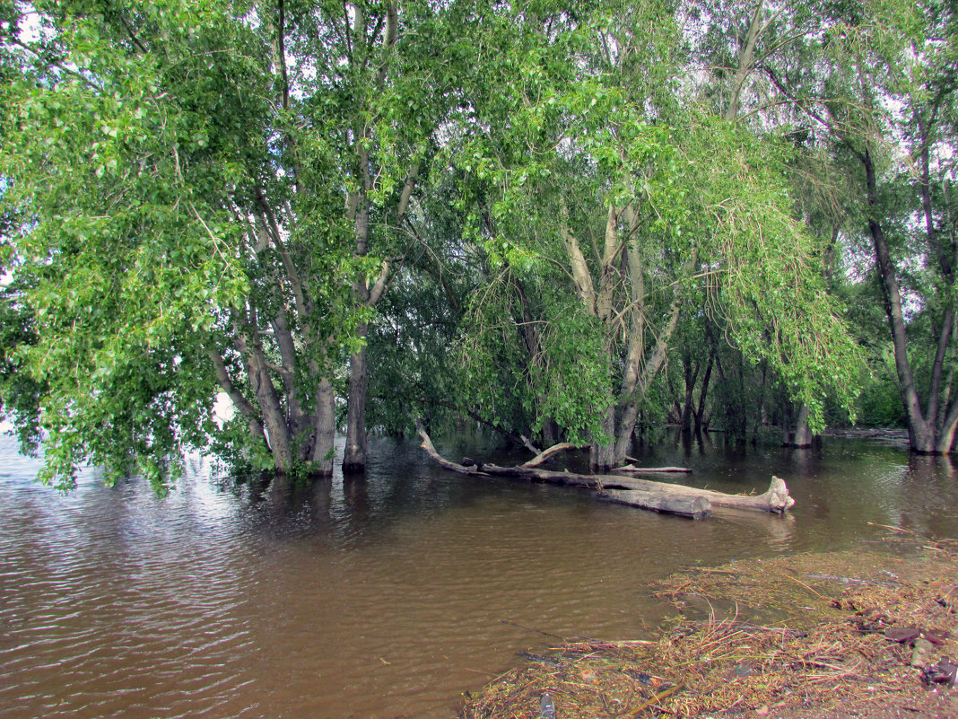 Большая вода. - раиса Орловская