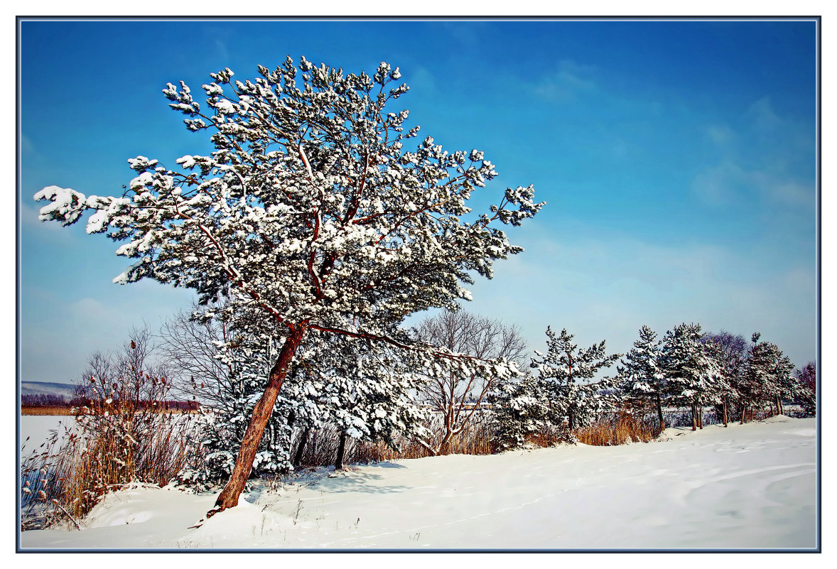 *** - Александр 