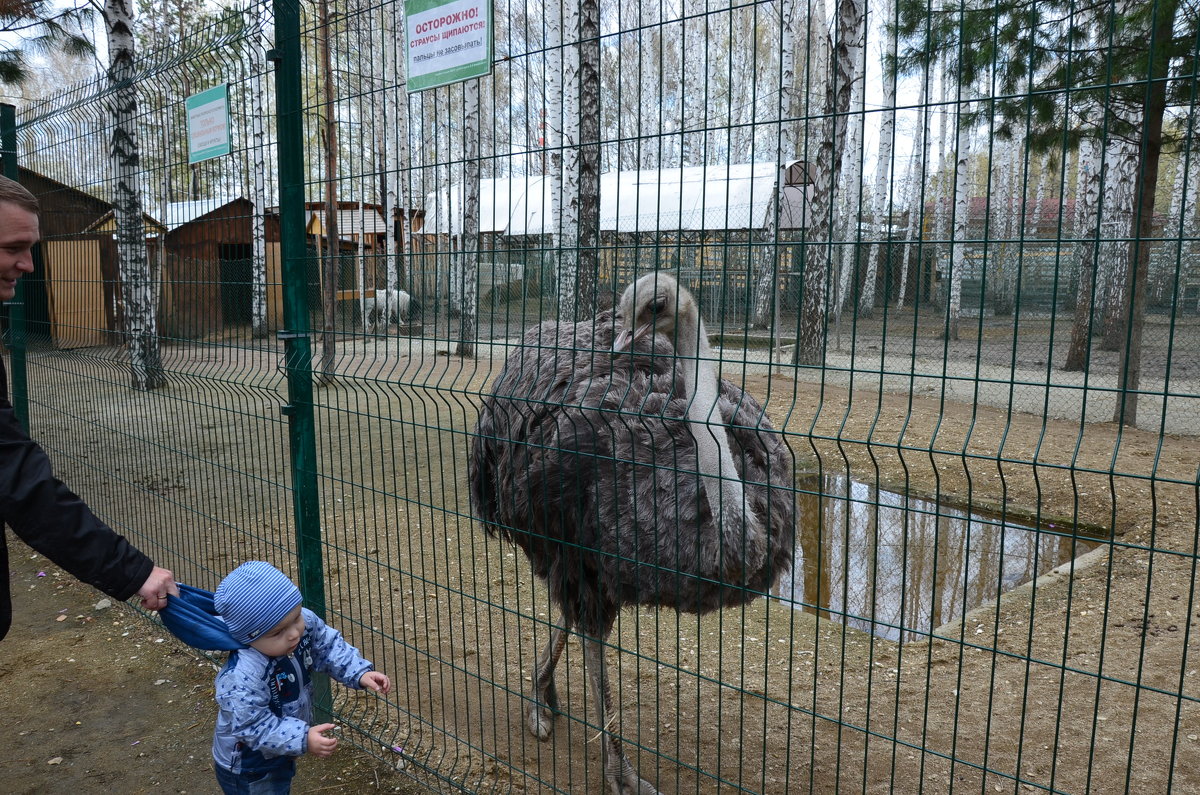 Я тебя не отдам... - Елена ***