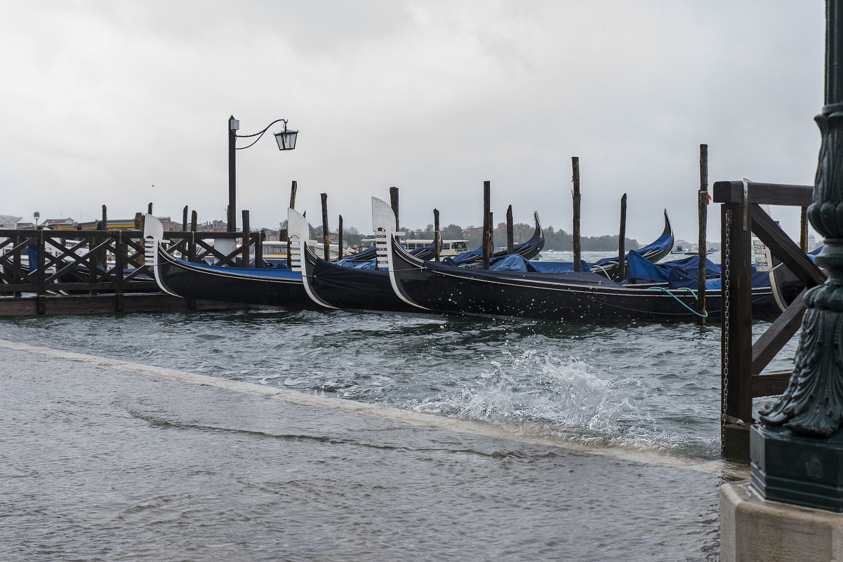 Венеция высокая вода 2014  Città di Venezia - Acqua alta a Venezia - Олег 