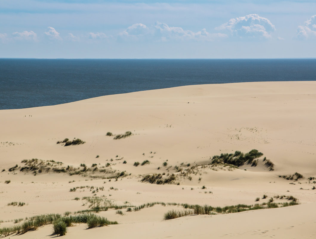 Песчаные дюны Балтики. - Яна 
