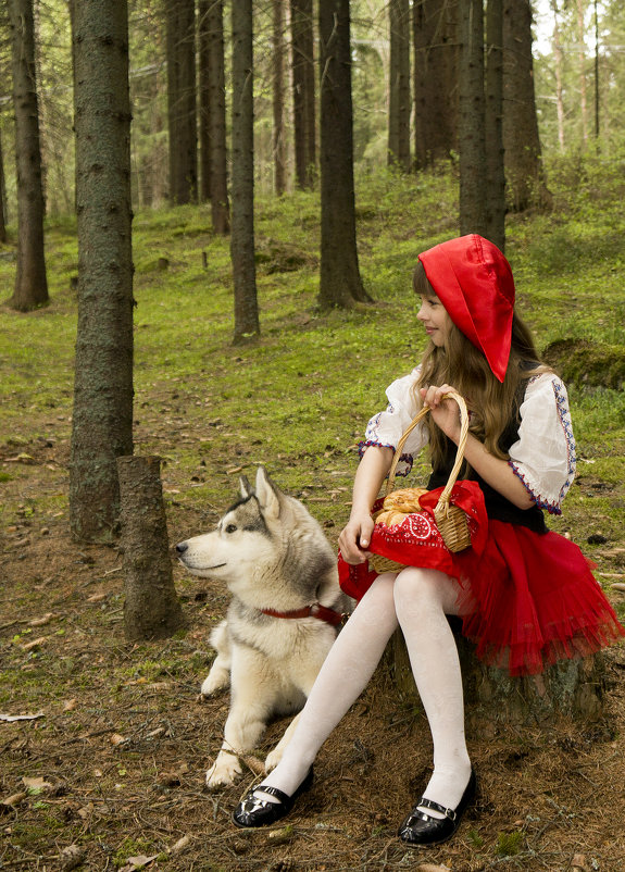 красная шапочка и серый волк - Сергей 