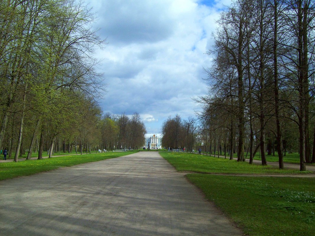 Царское село. Александровский парк. - alemigun 