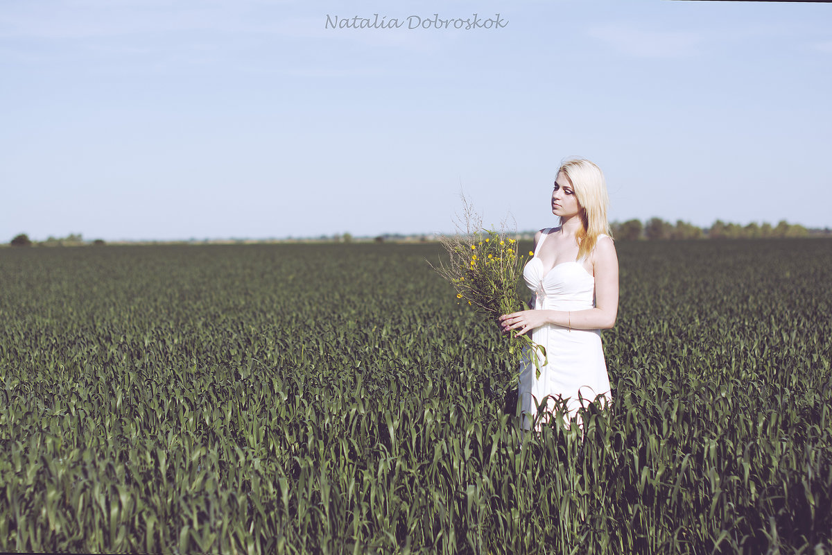поле - Наталья Доброскок