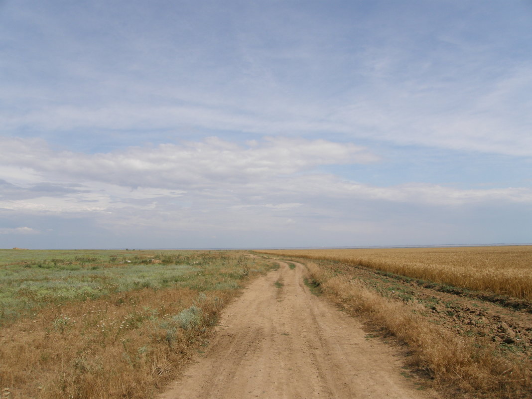 ... - Александр Казанцев