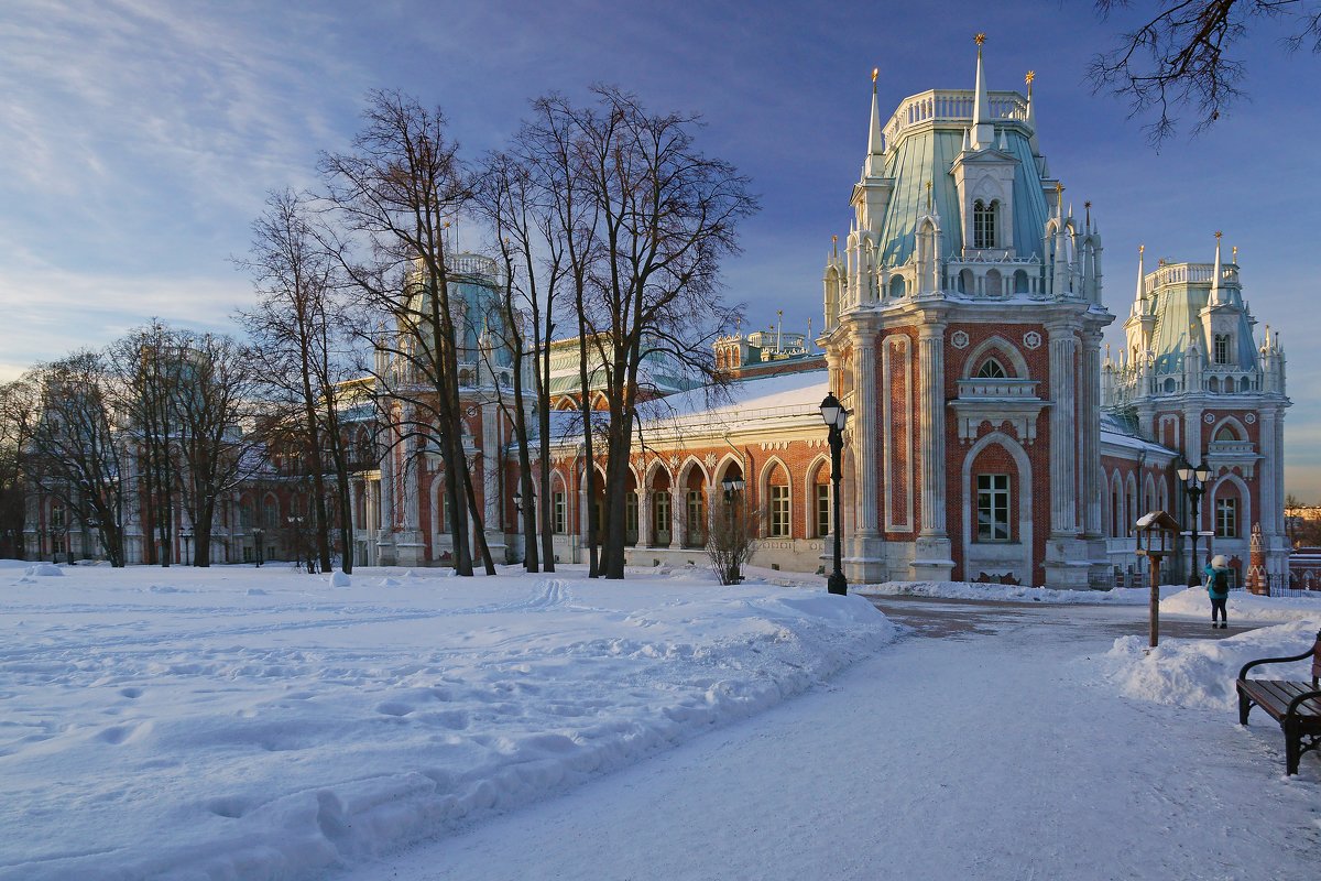 Усадьба Царицыно зима