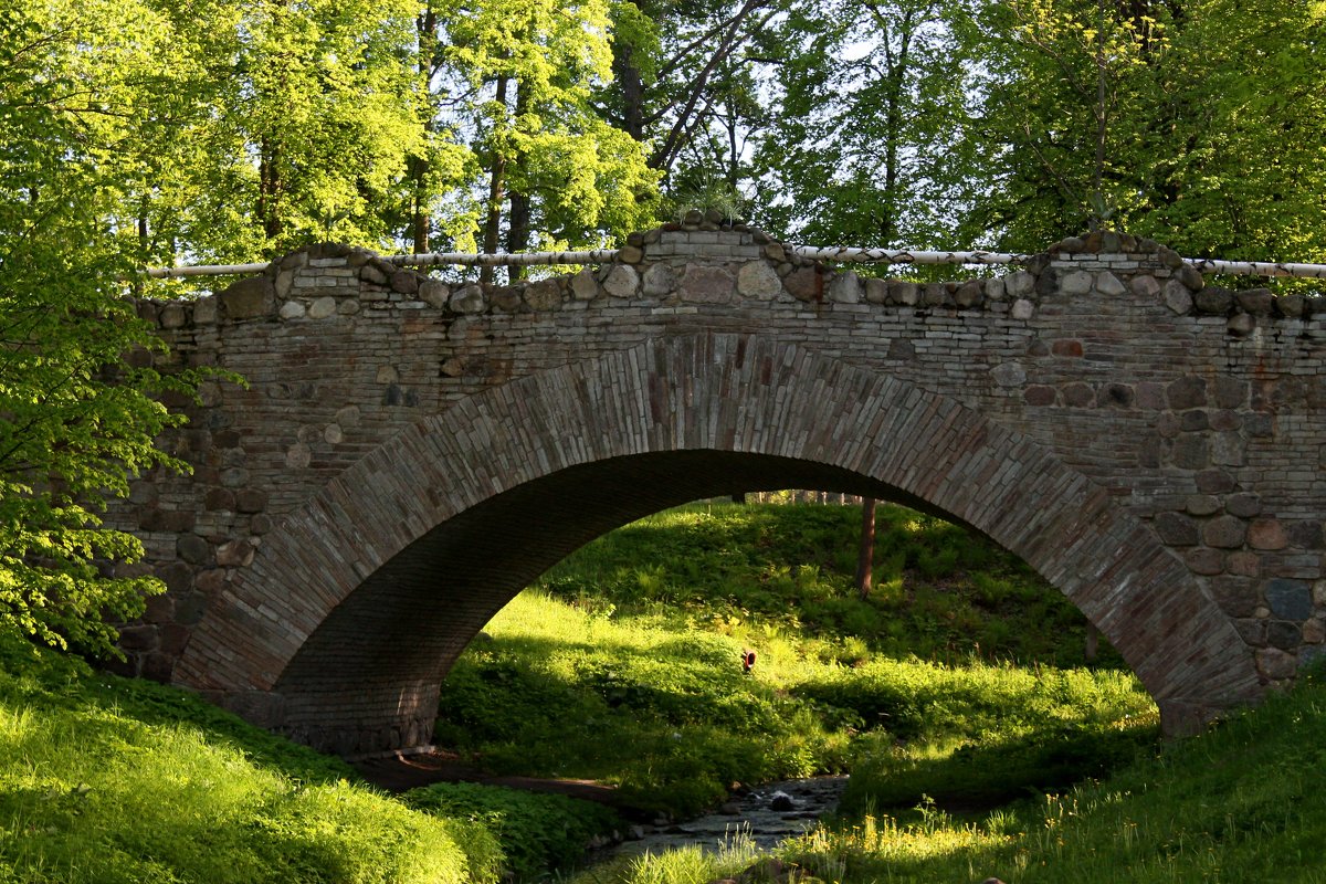 Руинный мост - Светлана Безрукова