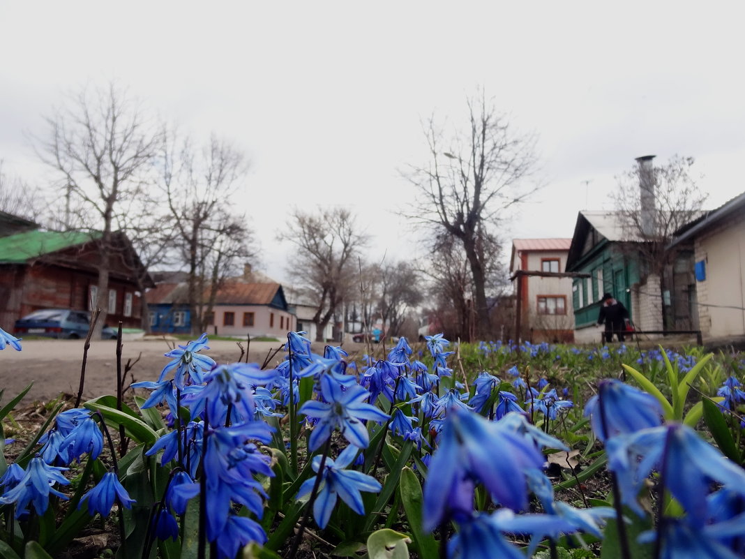 Весна на Орловской улице - Peripatetik 