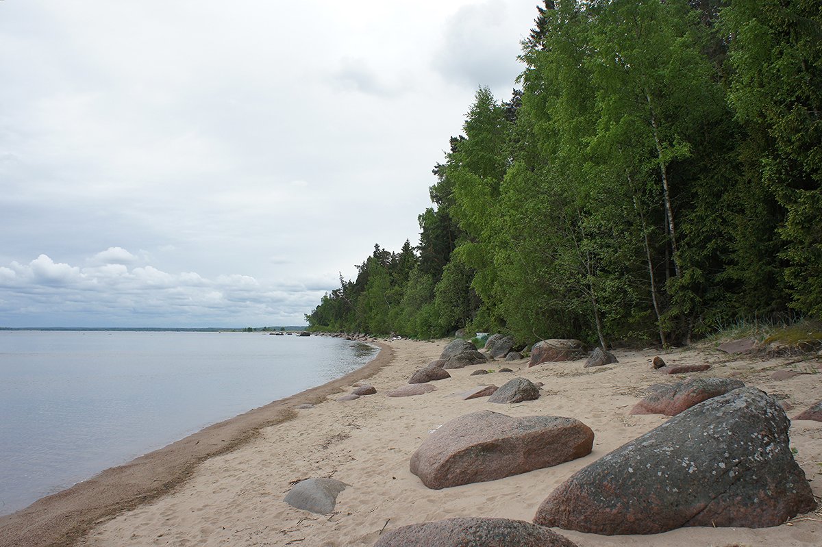 Берег Финского залива в районе деревни Старое Гарколово - Елена Павлова (Смолова)