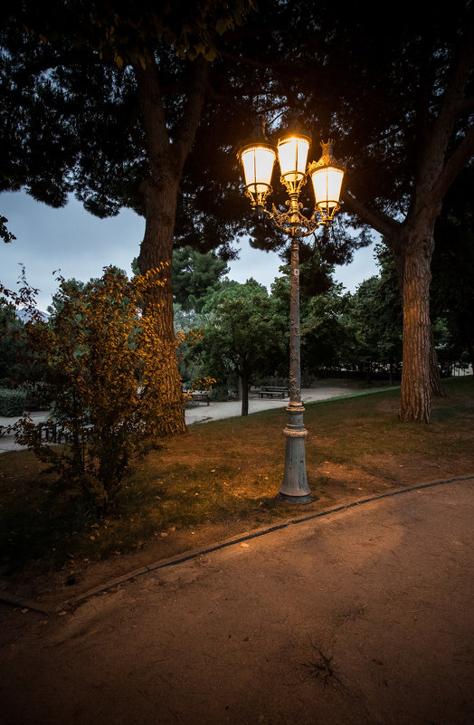 фонарик парка Лабиринт... - Сергей 