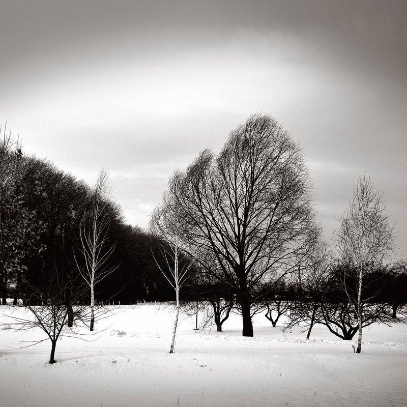 На морозном ветру - Андрий Майковский
