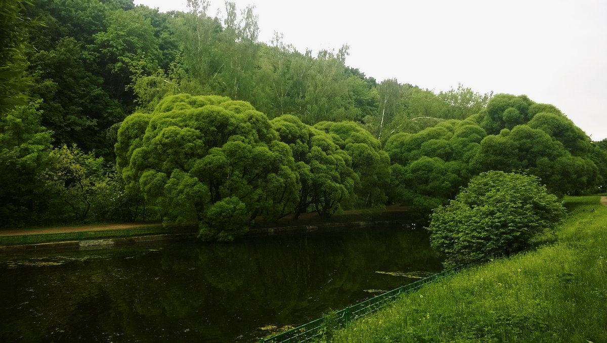 Смотрятся скромно на водную гладь... - Николай Дони