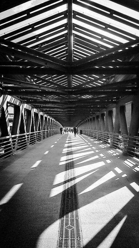 Bridge - SMart Photograph