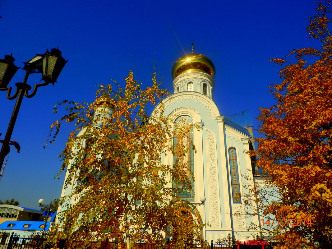 ЛУГАНСК  ОСЕНЬЮ - неля  тулузова 