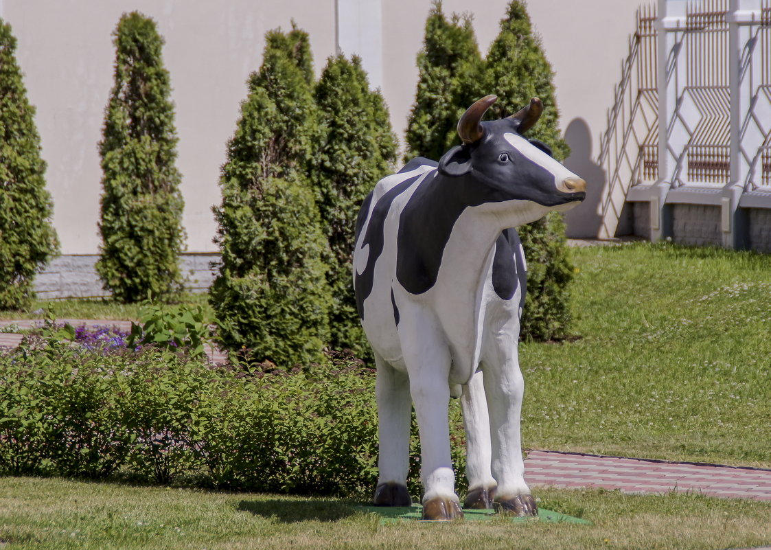 любила корова газоны... - gribushko грибушко Николай
