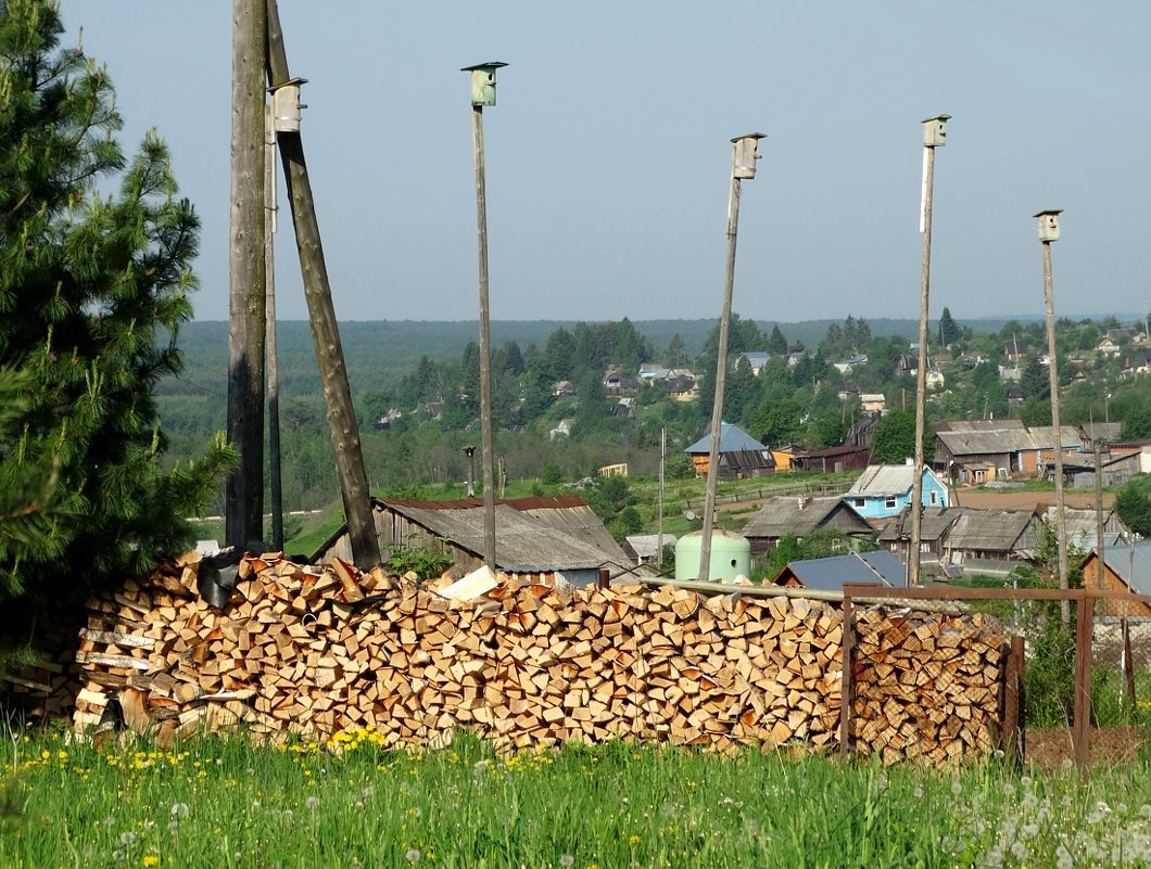 Общежитие, обеспеченное дровами - Валерий Чепкасов