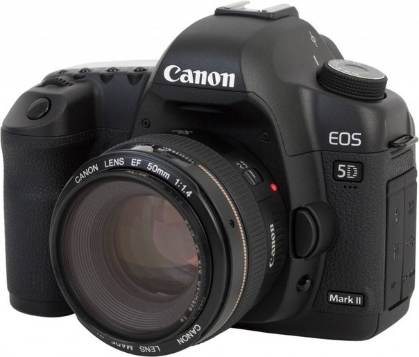Canon EOS 5D Mark 2 - Татьяна 