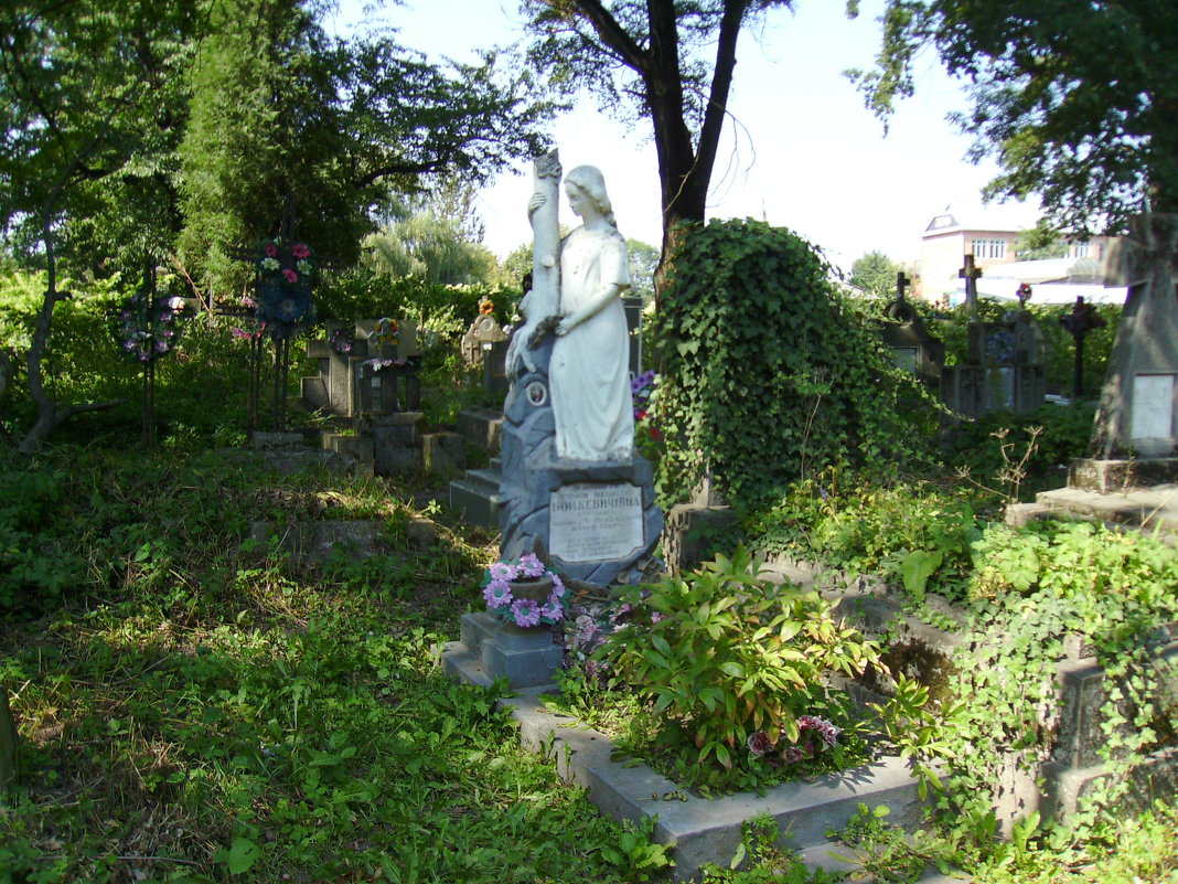 Старое  кладбище  в  Коломые - Андрей  Васильевич Коляскин