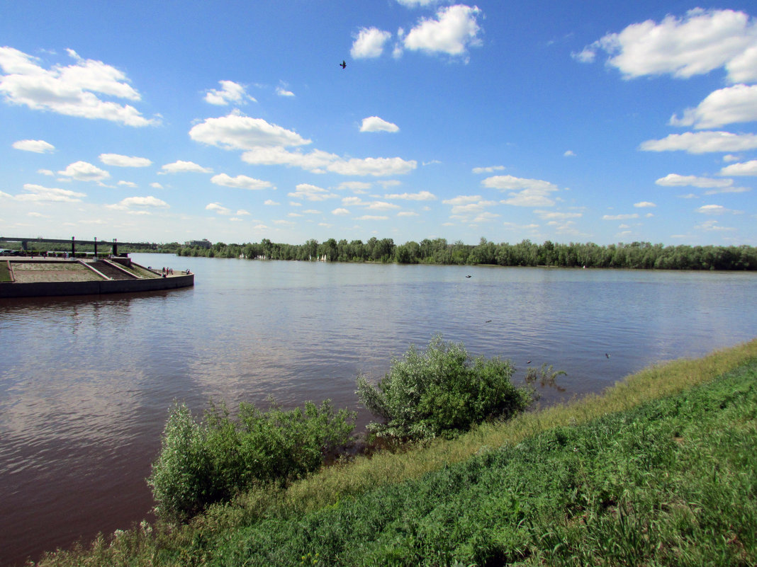 Слияние двух рек  Иртыша и Оми - раиса Орловская