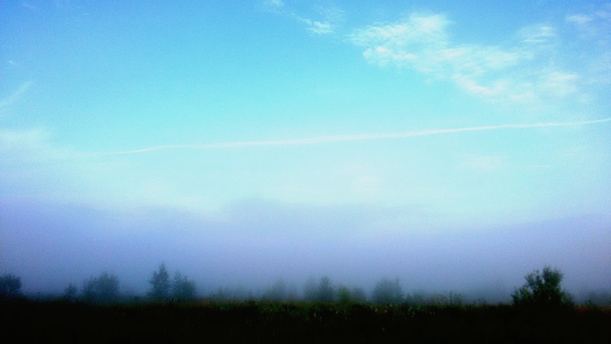 Туман - Екатерина Кузина 