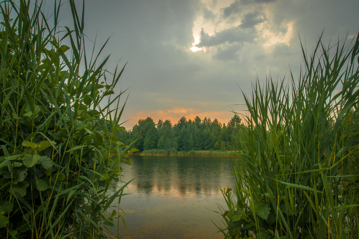 Озеро в лесу - Юрий Кулаков
